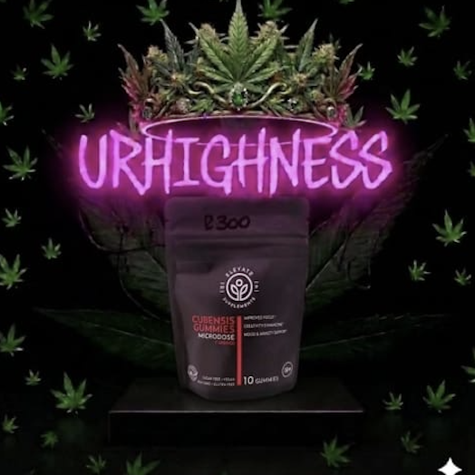 UrHighness premium cannabis gummies Johannesburg